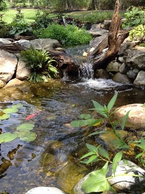 南投水池工程,南投景觀水池